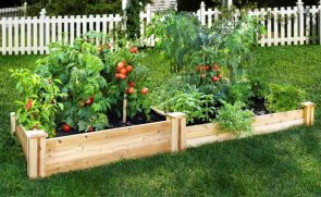 How to Build Raised Garden Bed