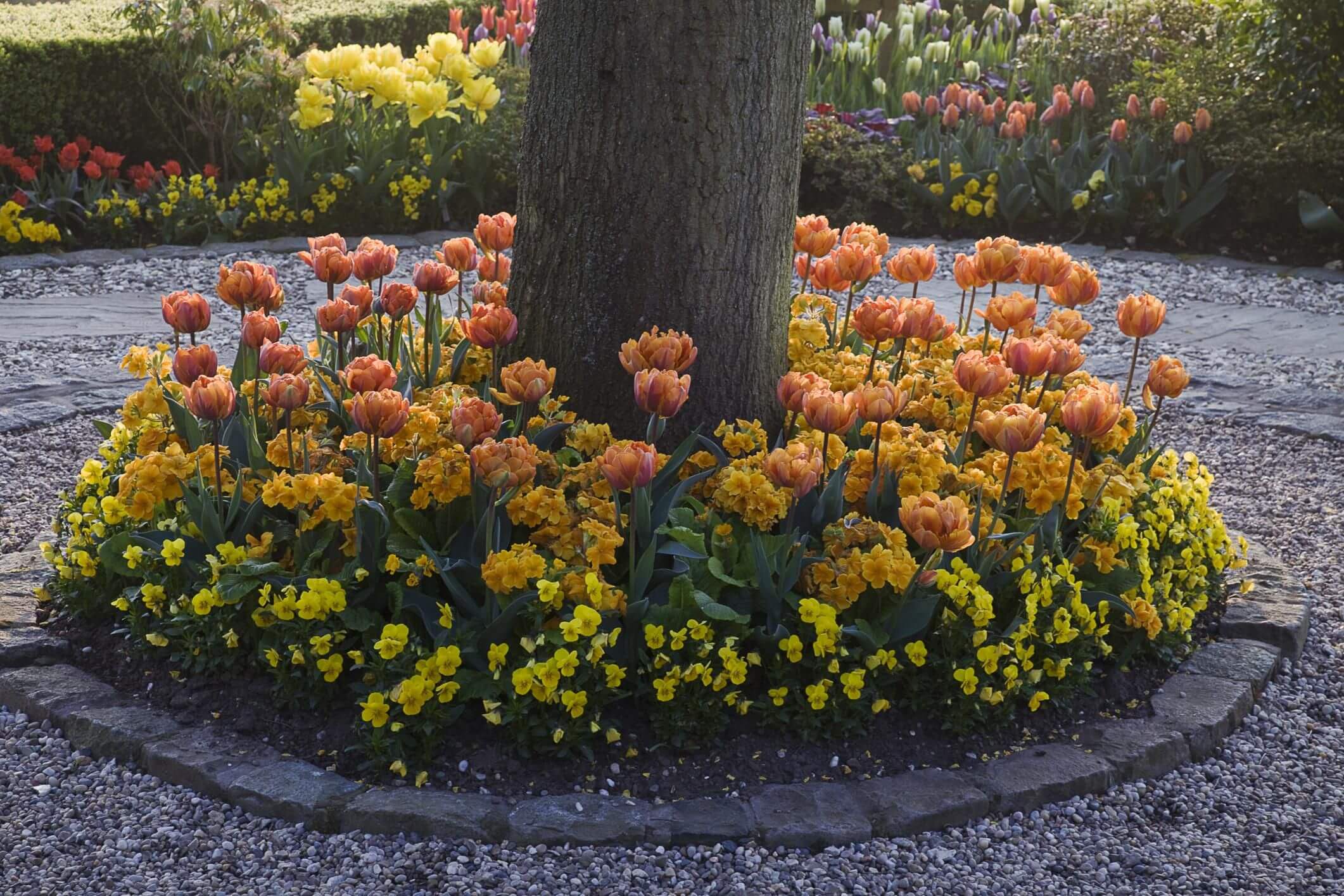 Circular shade flower bed around a shady tree