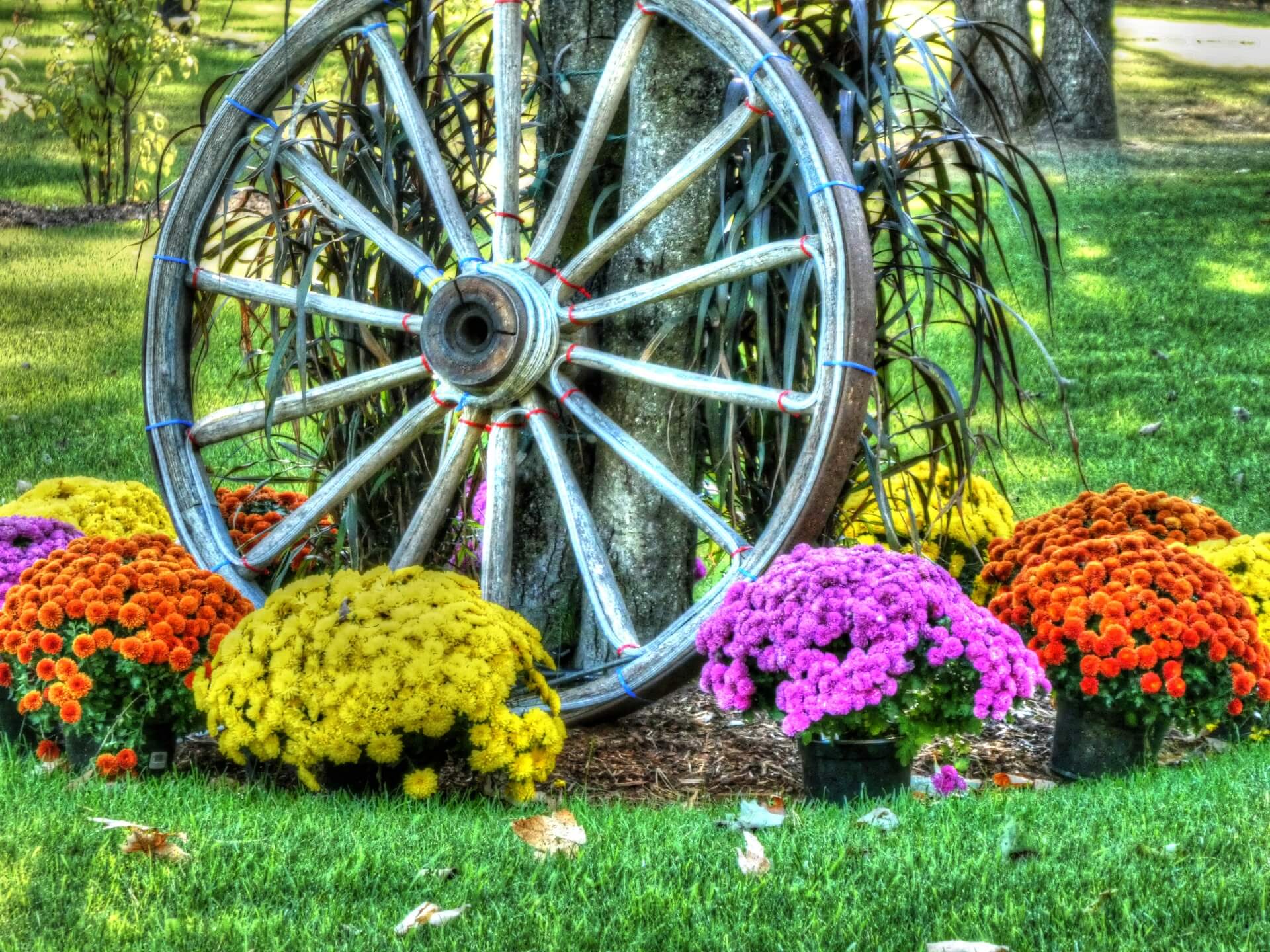 Cottage style planted wheel
