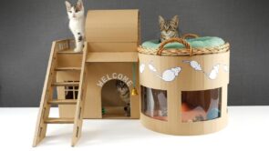 Diy Ideas Of Cardboard Cat Houses