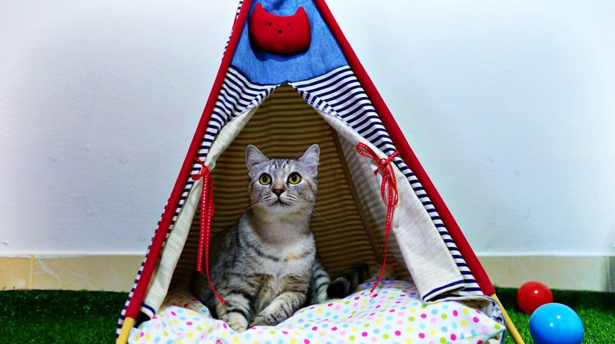 Homemade Kitty Tent