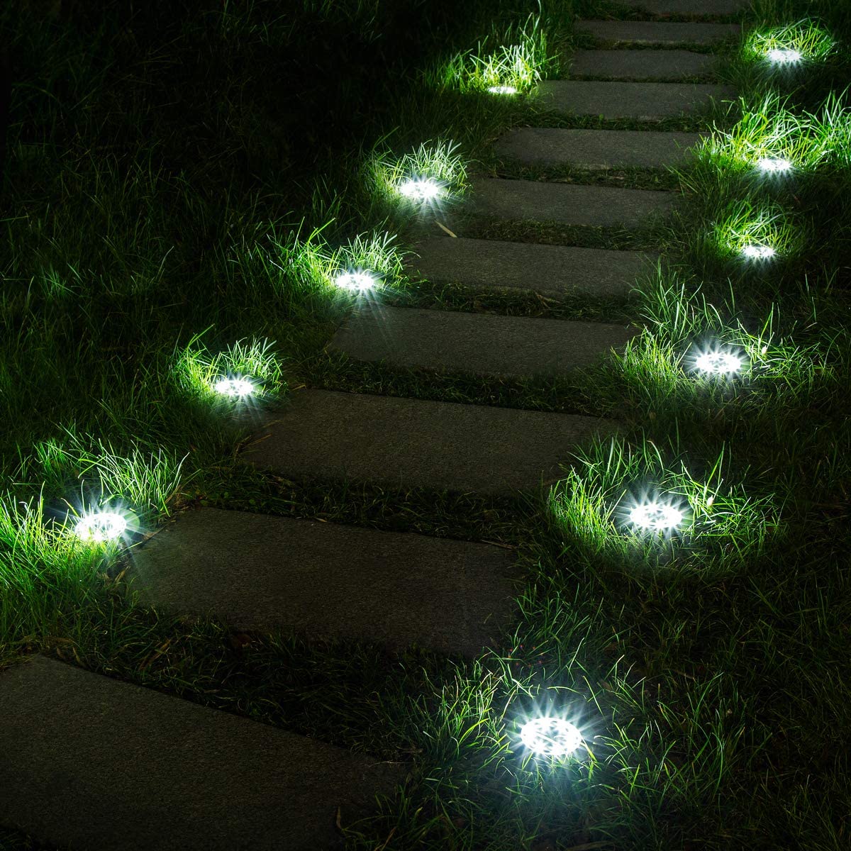Lighted pathway