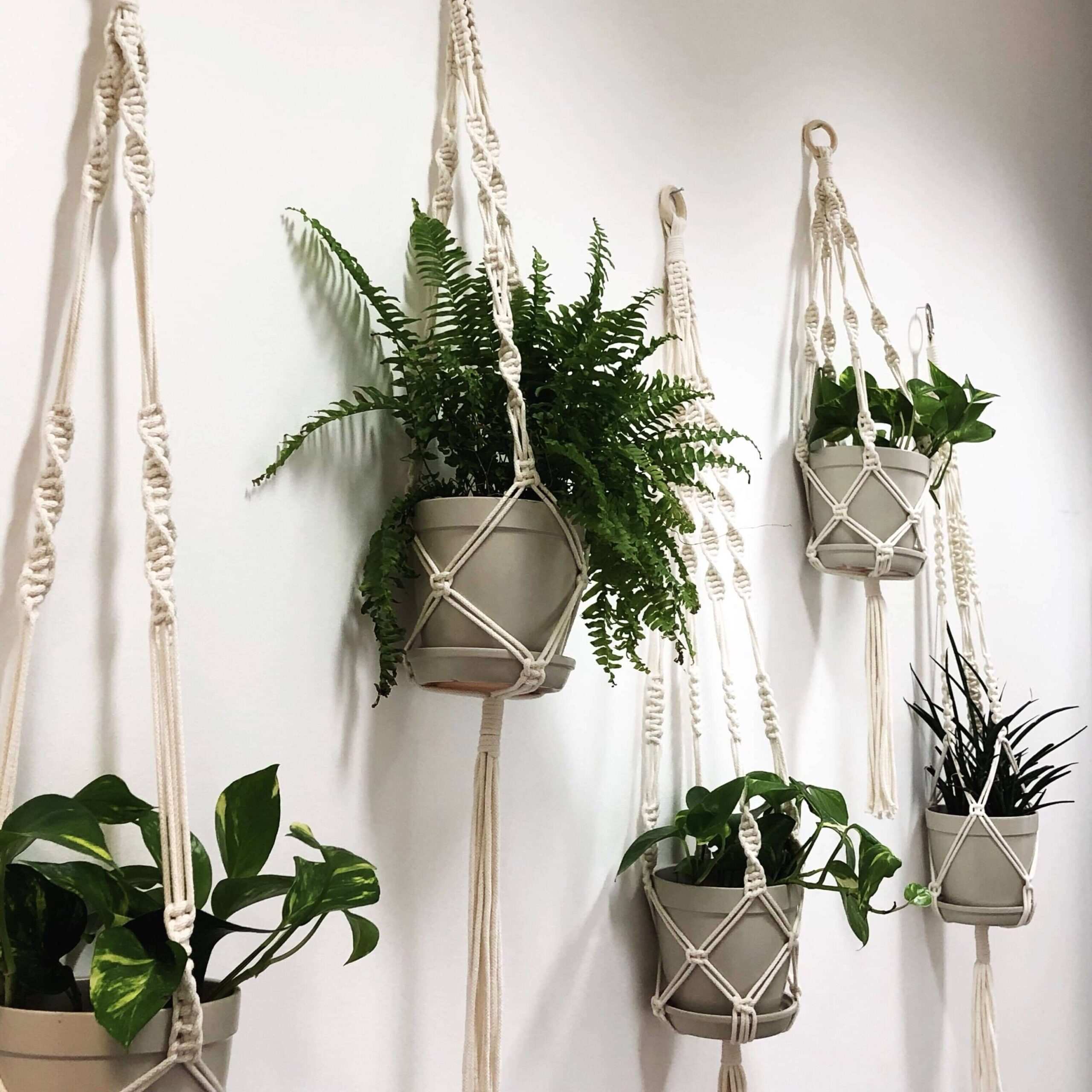 Macrame plant holder