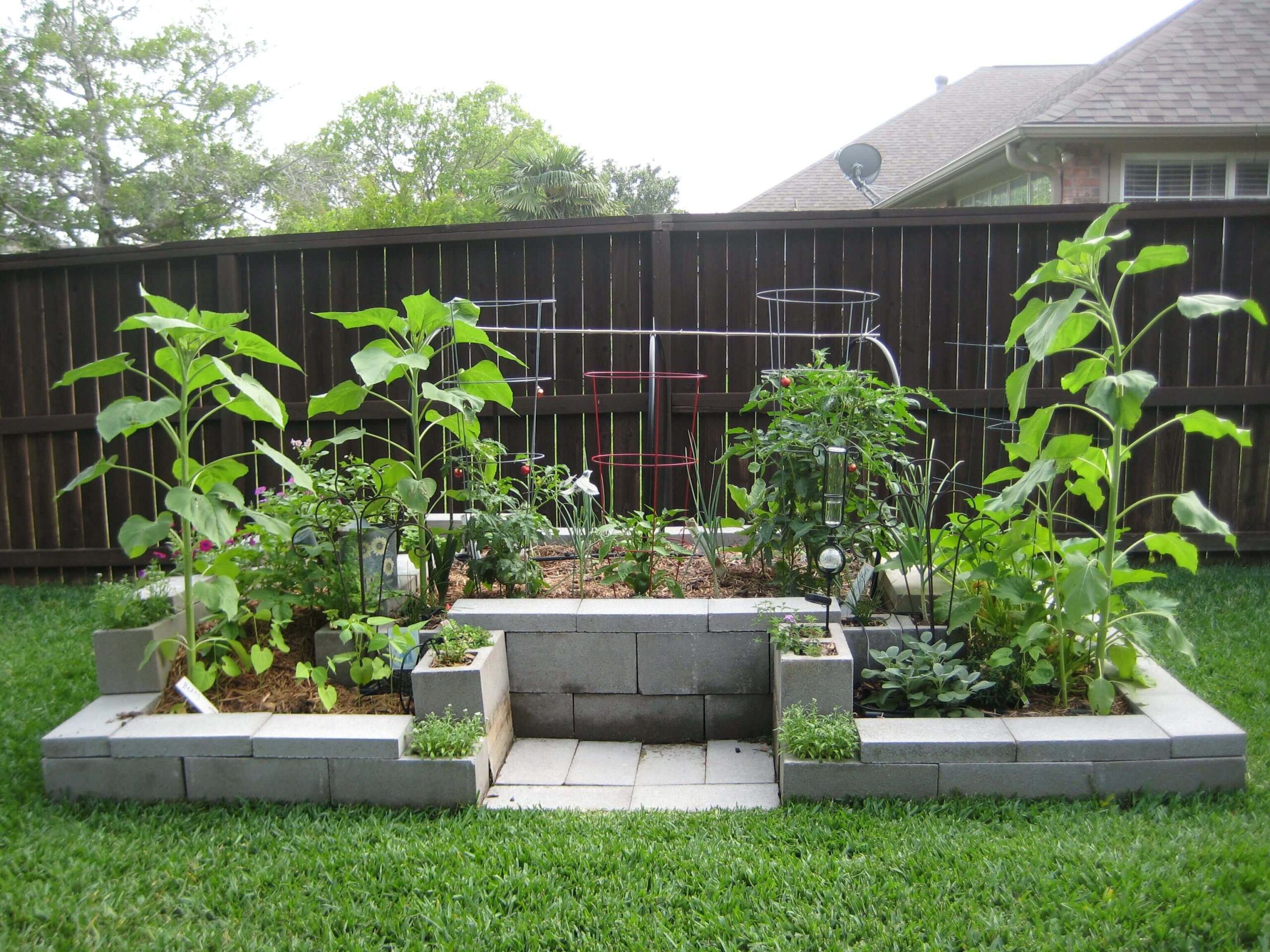 Modern industrial cinderblack plant bed