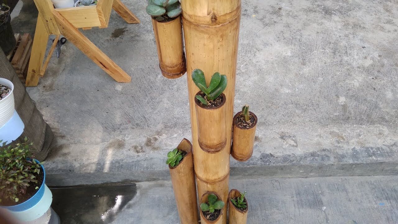 Mountain bamboo stand