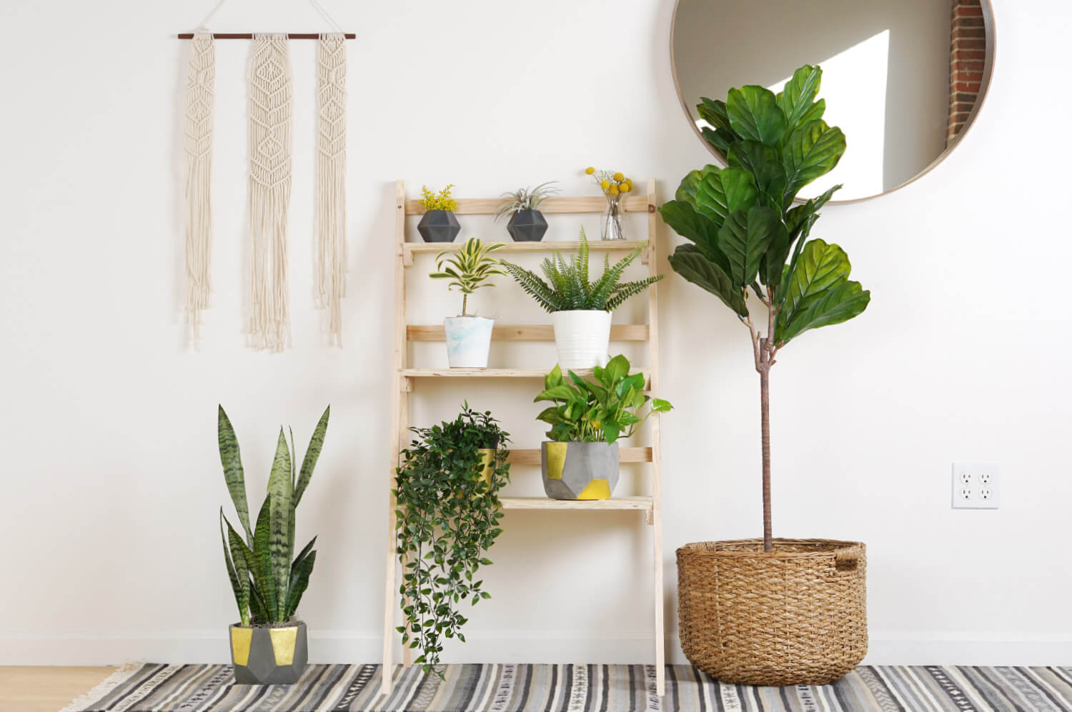 Multi Layer Indoor Plant Stand Design Ideas