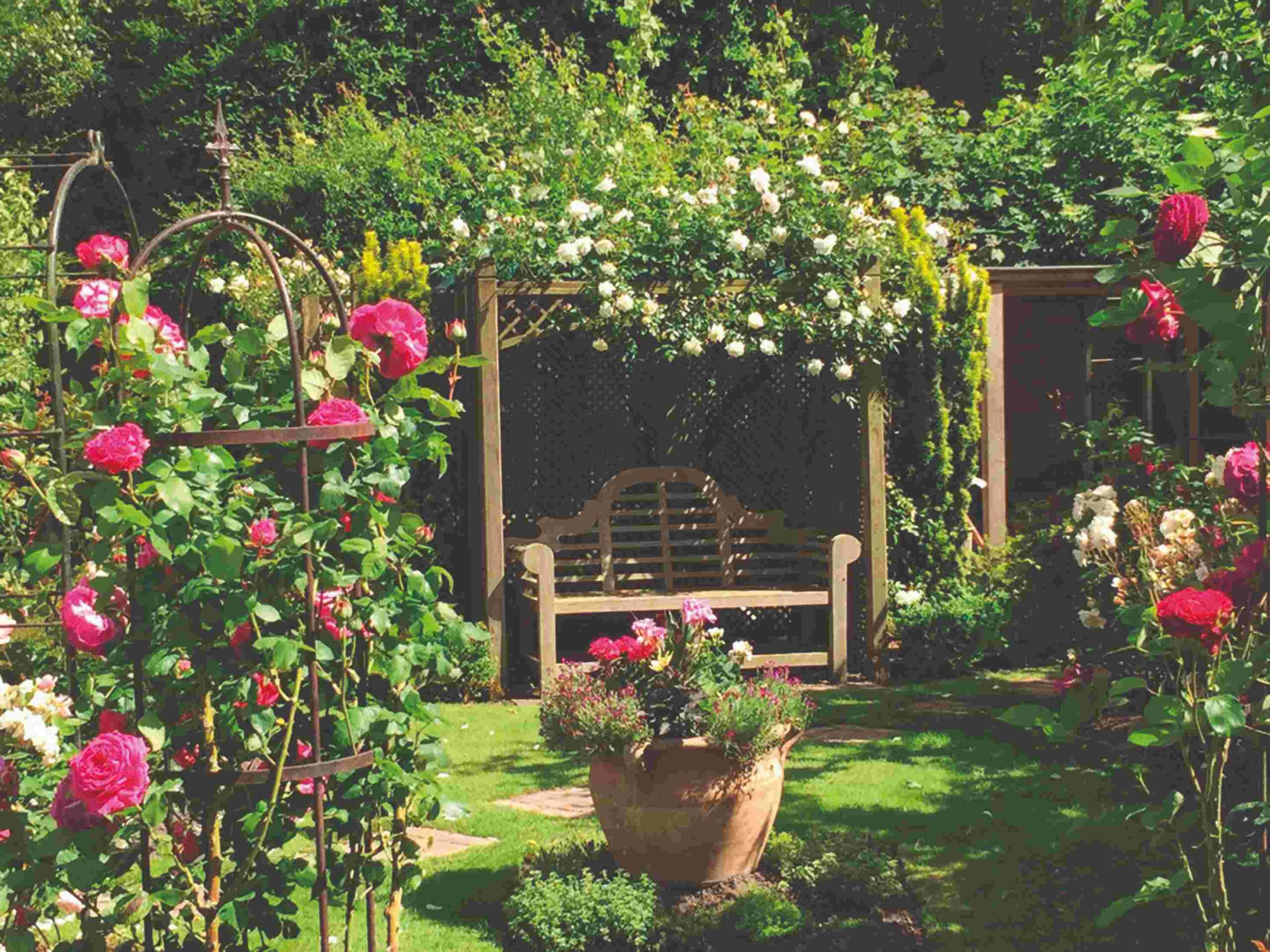 Rose arbour