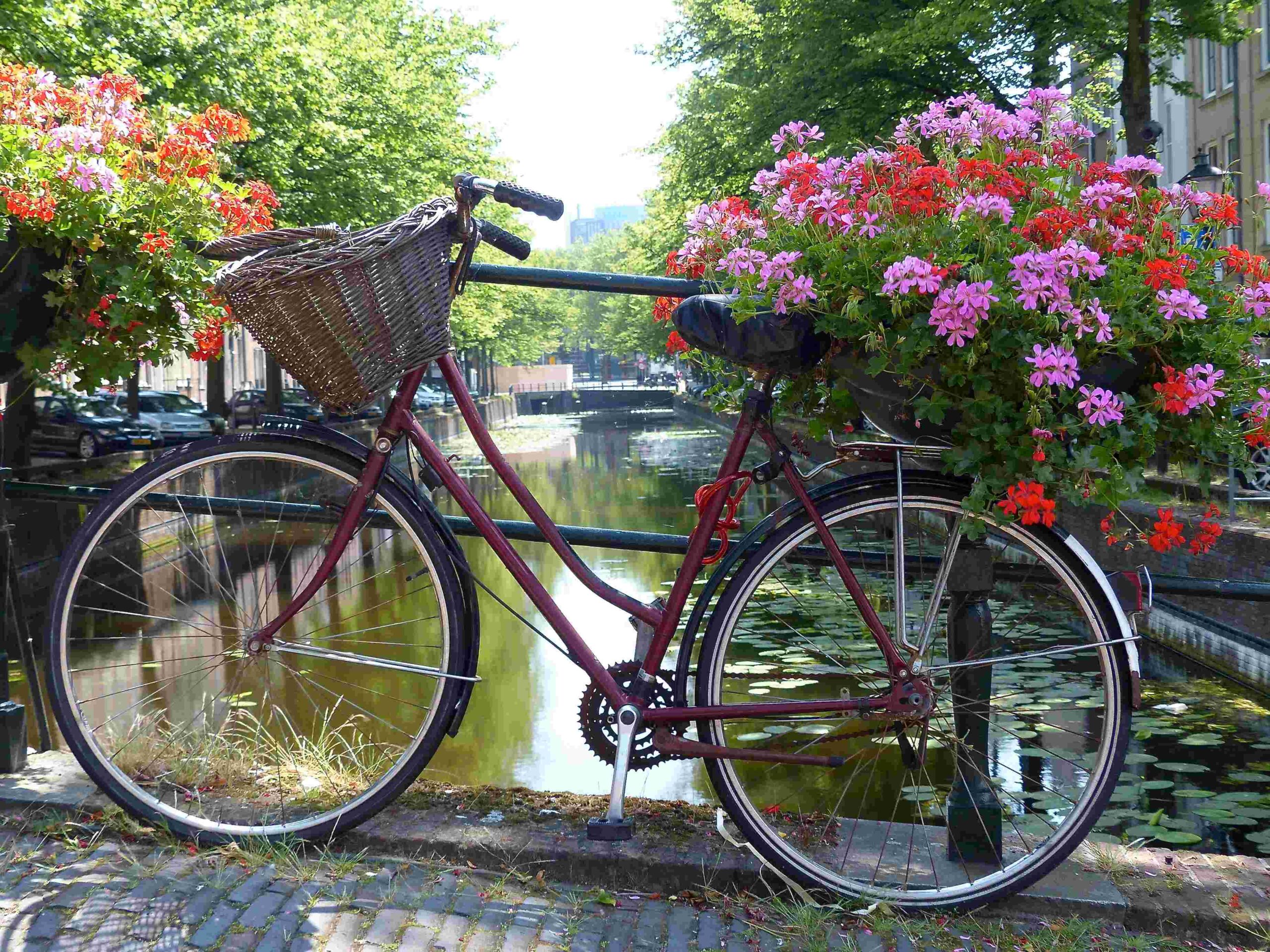 Vintage bicycle