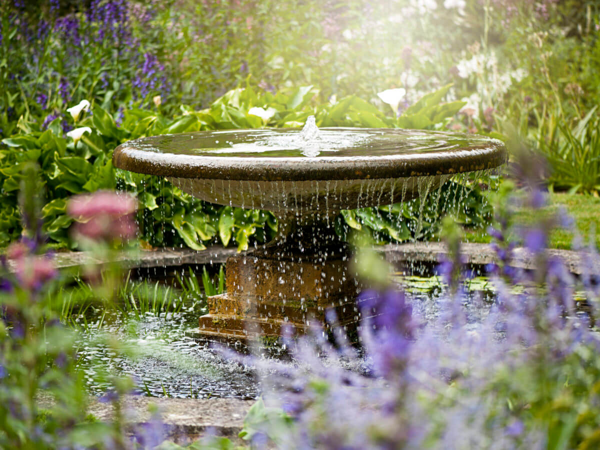 Western water feature garden