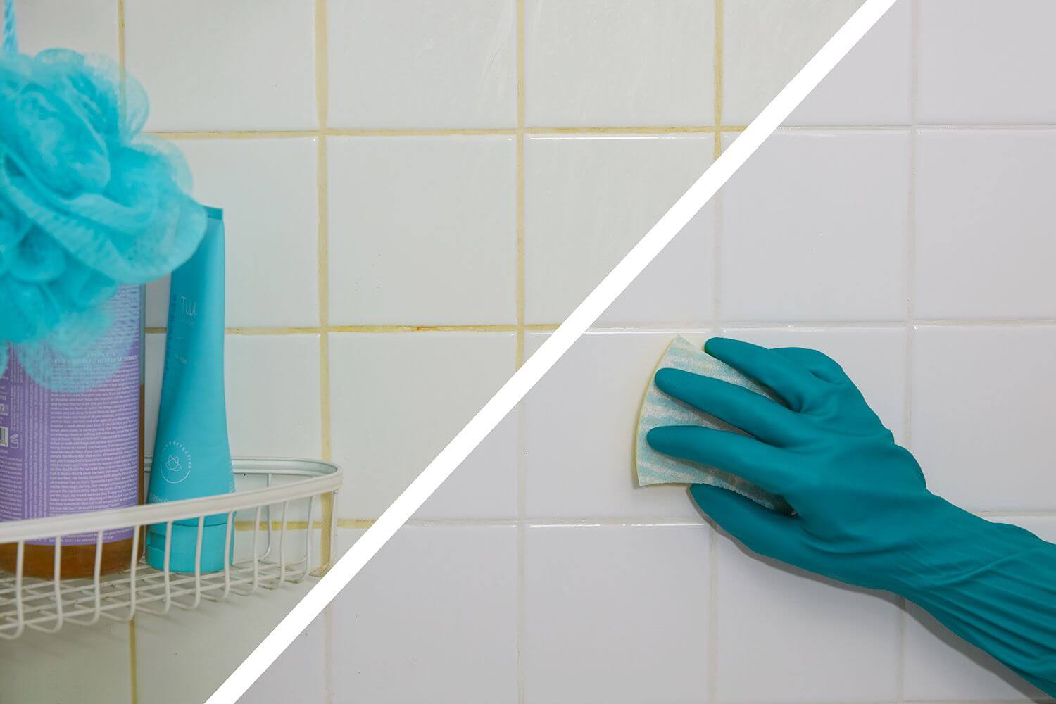 How to get rid of molds in the bathroom