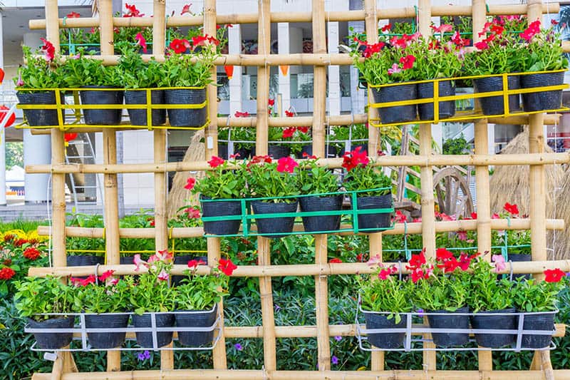 Bamboo grid trellis