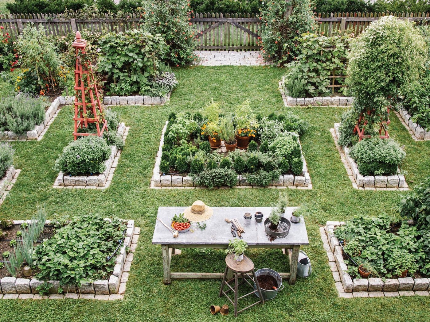 Food garden in backyard