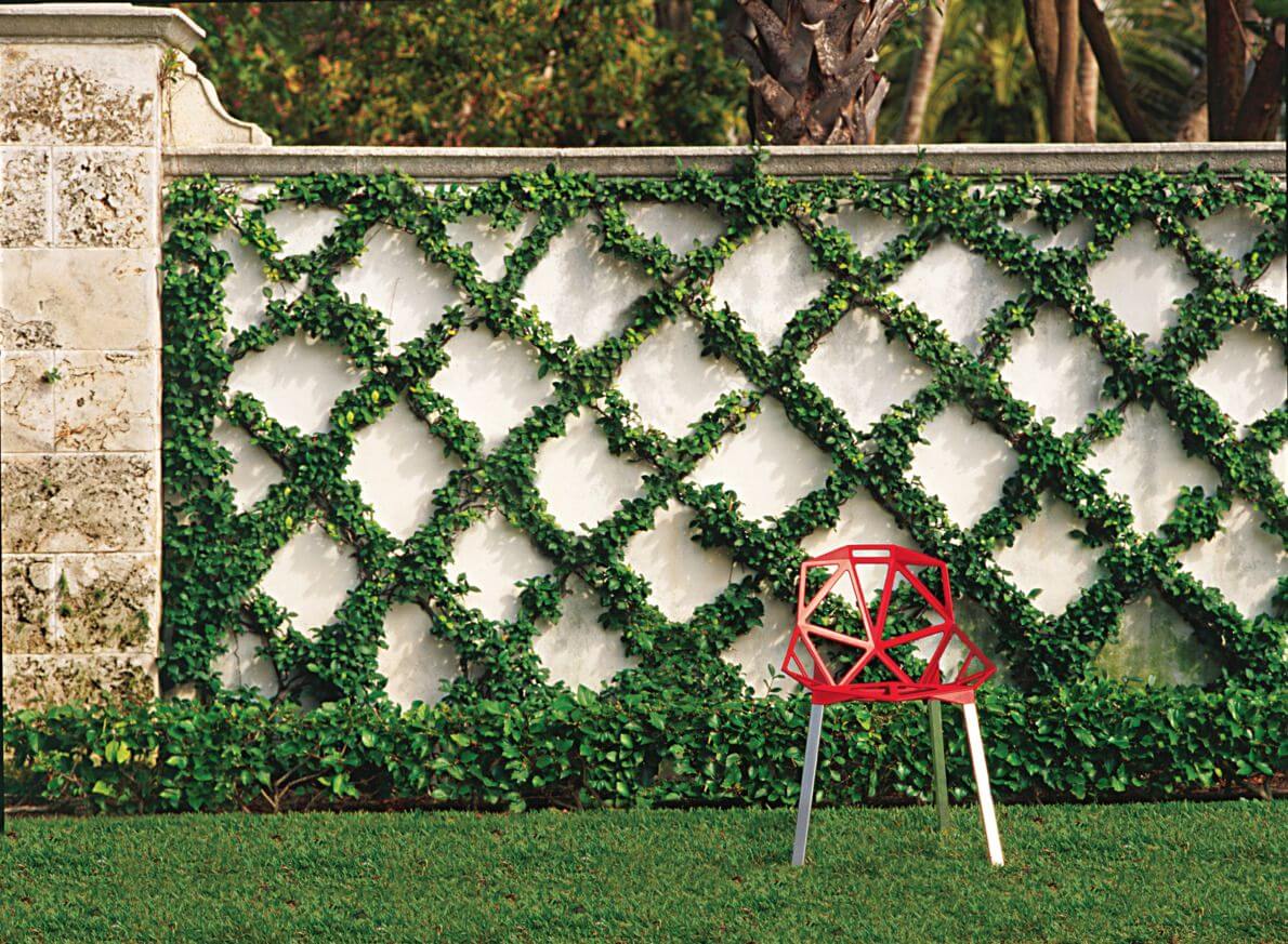 Garden trellis ideas