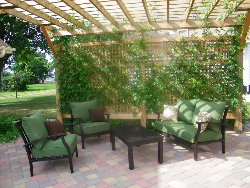 Pergola and arbor