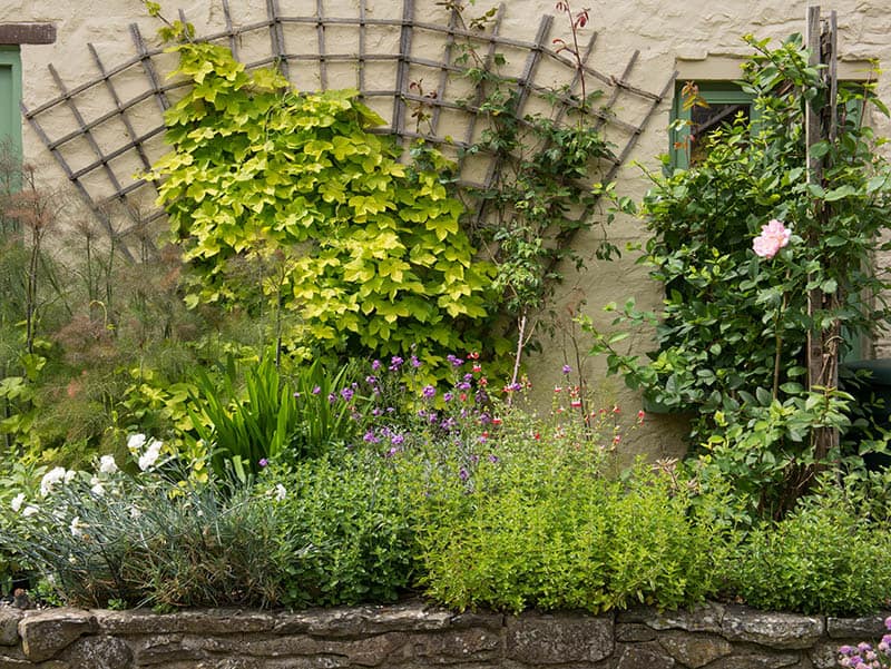 Spider web wall trellis