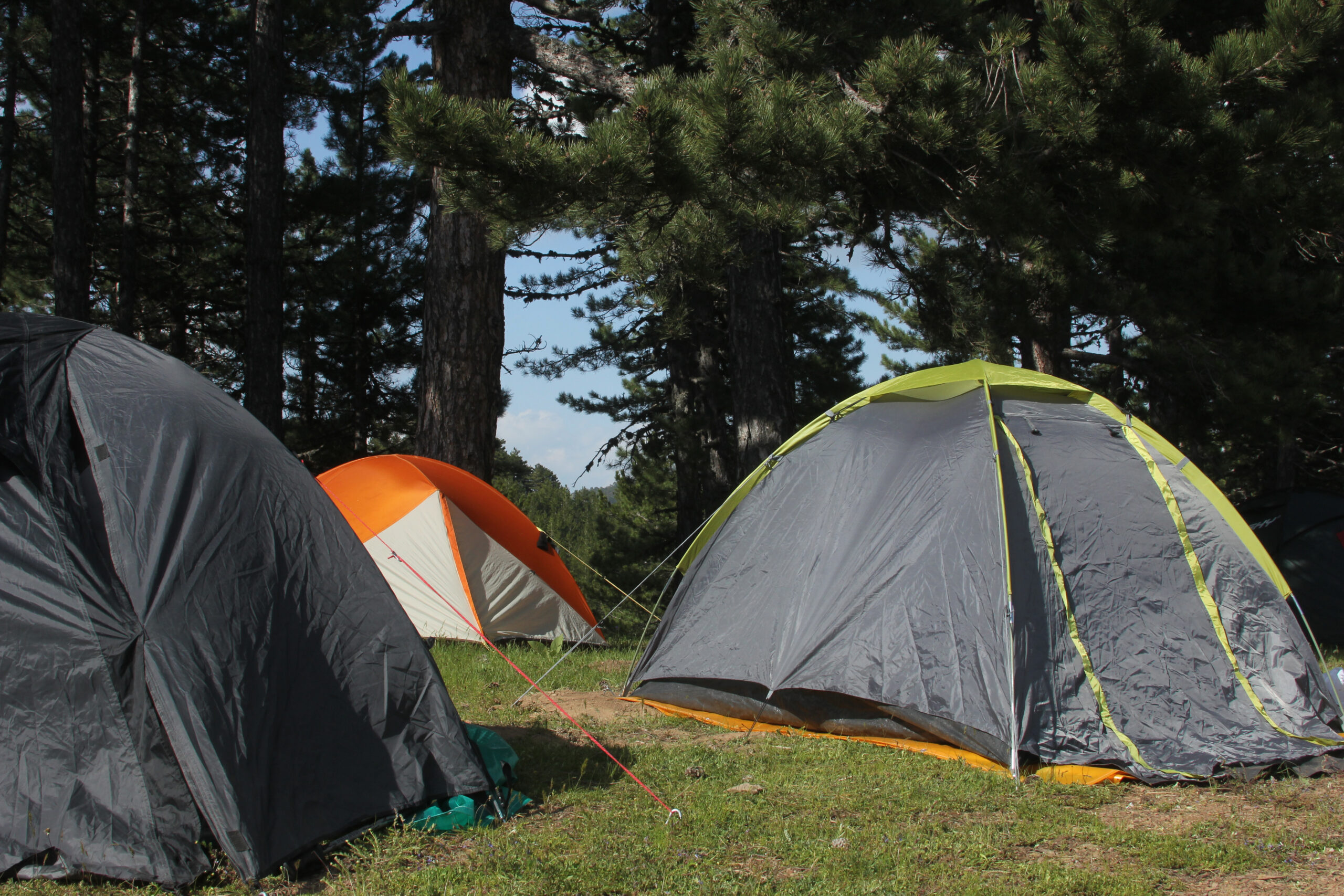 Camp Shower