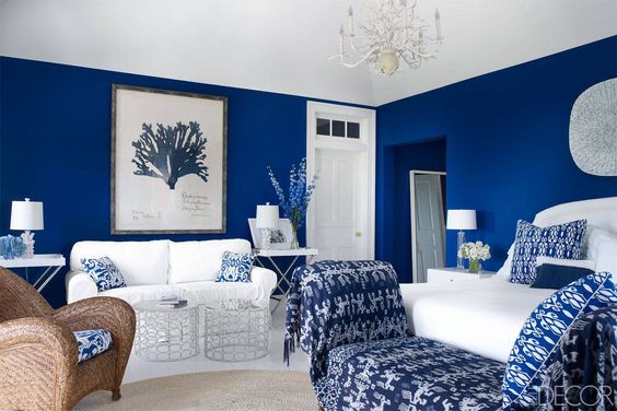 Royal blue and White living room wall