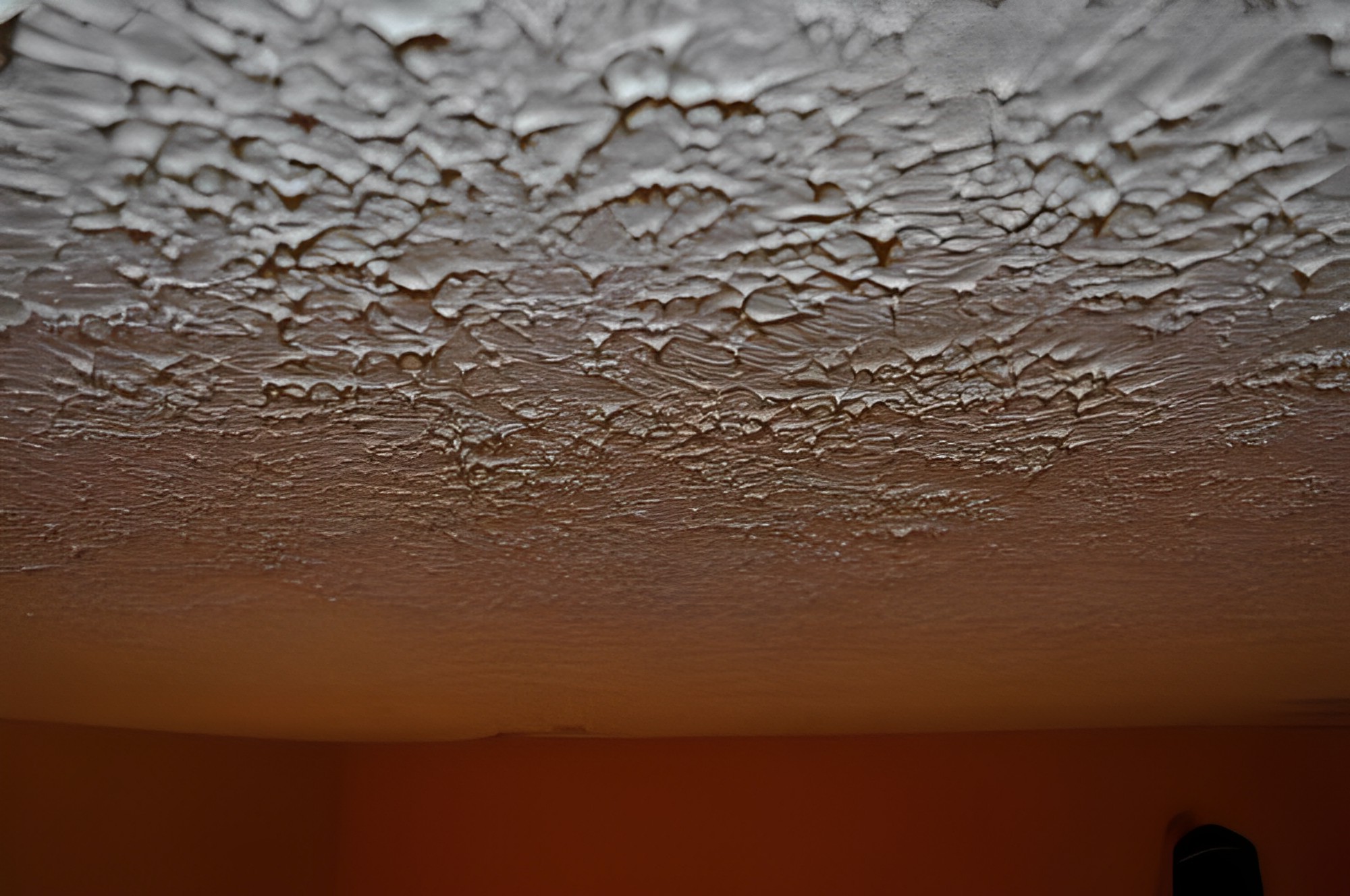 Stippled /Slapped Brush Ceiling