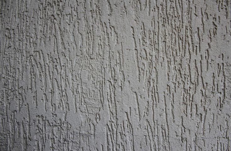 Tree Bark Texture