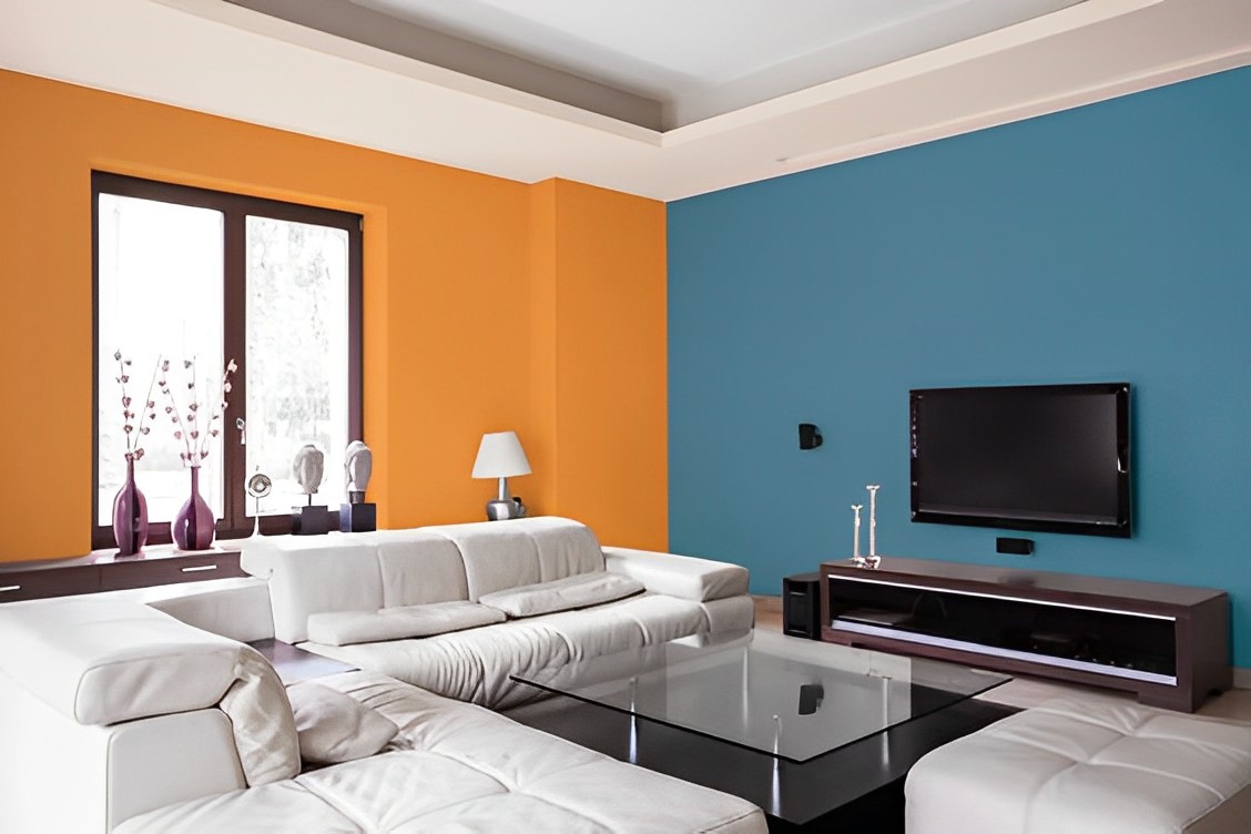 Two Colour Combination for Living Room
