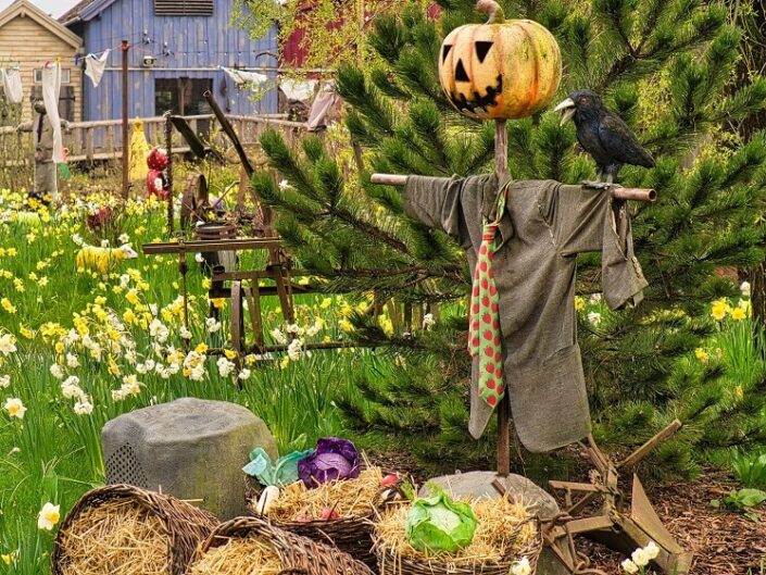 Scarecrows With pumpkin on his head and crow on his hand
