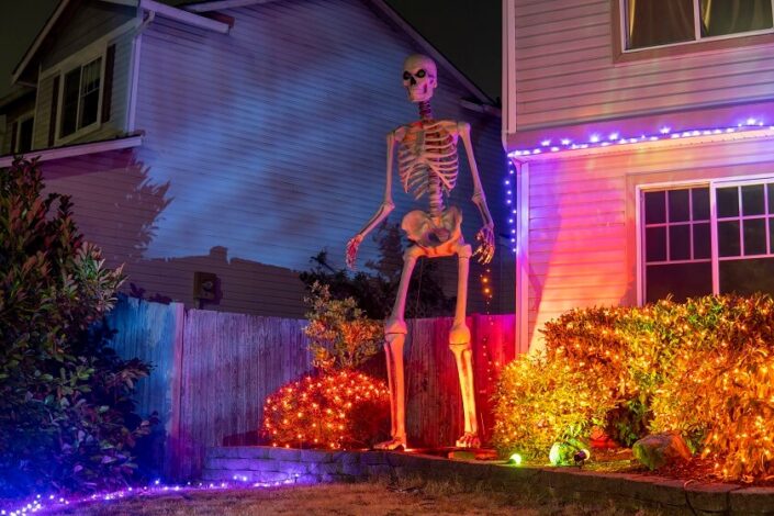 Large Skull Lanterns in Front yard of home with Spooky Lighting during Halloween