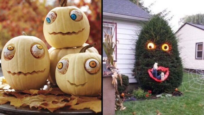 Googly Eyed Plants and Pupking for Scary Look allaround Hallween decoration
