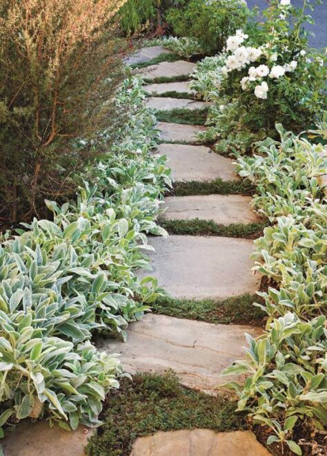 Narrow Stepping stone pathways