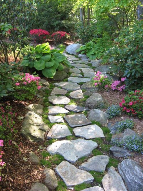 Natural Stepping stone pathways