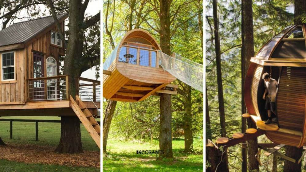 Cool Pictures of Tree Houses ideas