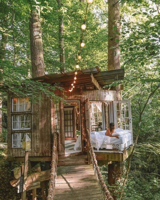 Tree Houses