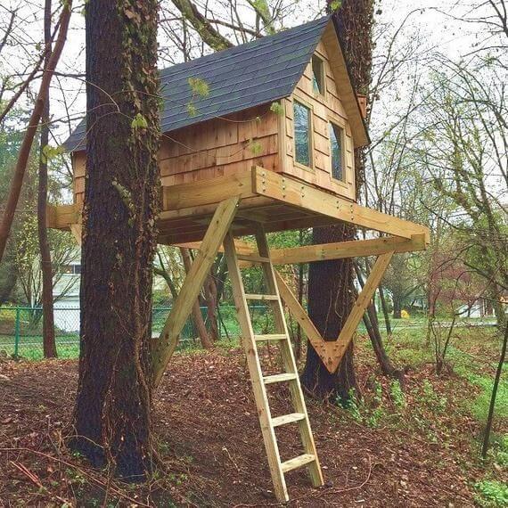 Tree Houses