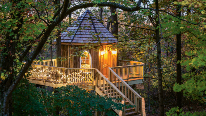 Tree Houses