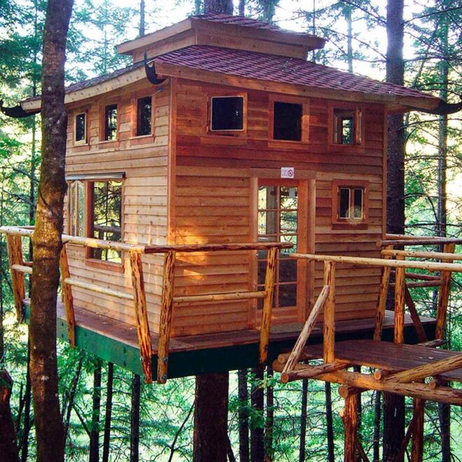 Tree Houses