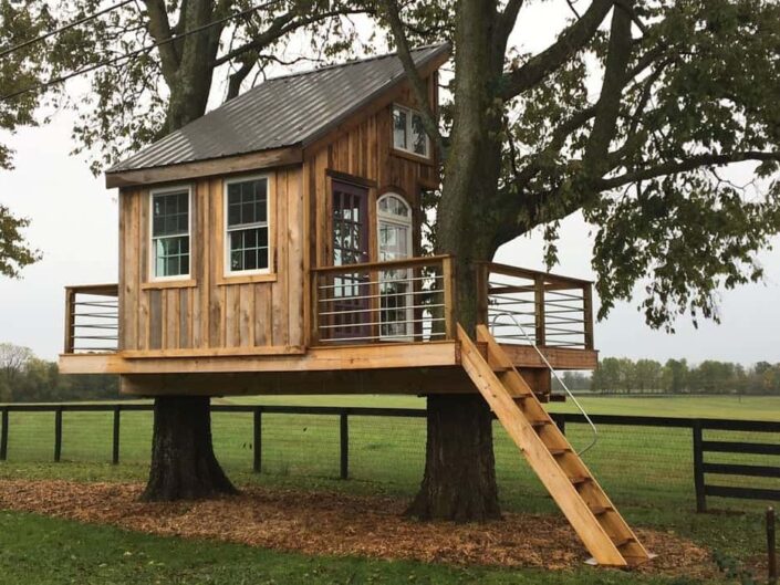 Tree Houses