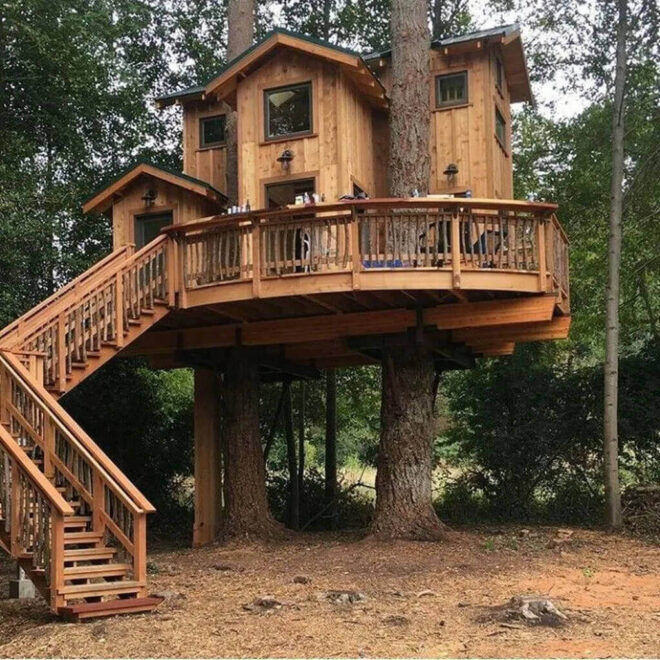 Tree Houses