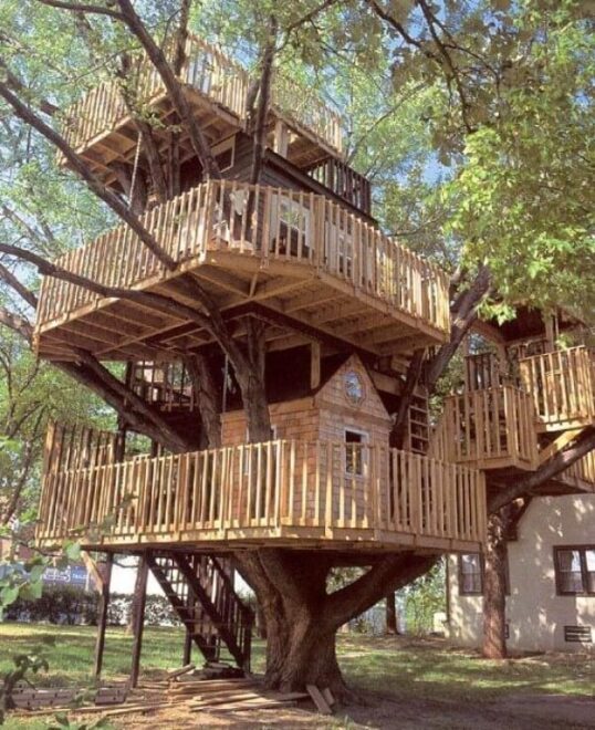 Tree Houses 