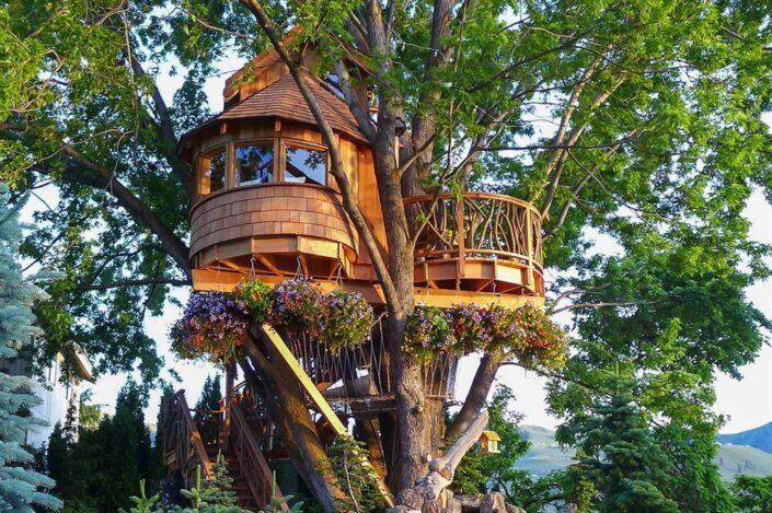 Tree Houses