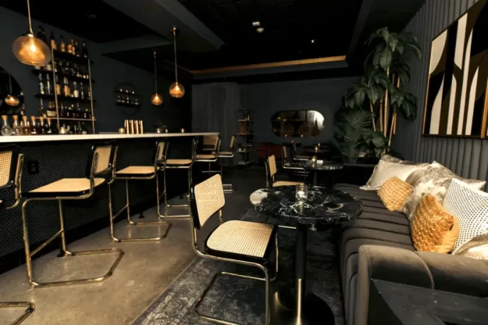 Speakeasy Basement Bar Ideas