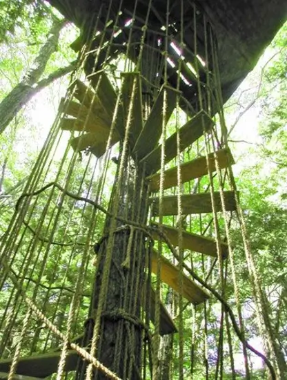 Treehouse Stairs idea