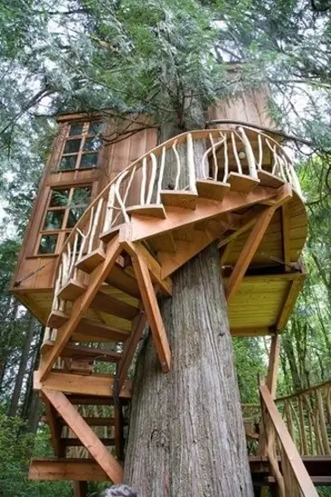 Treehouse Stairs idea