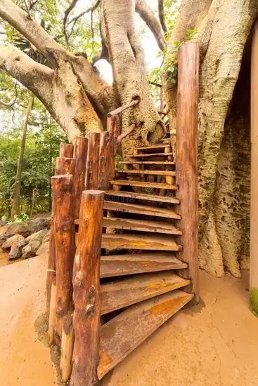 Treehouse Stairs idea